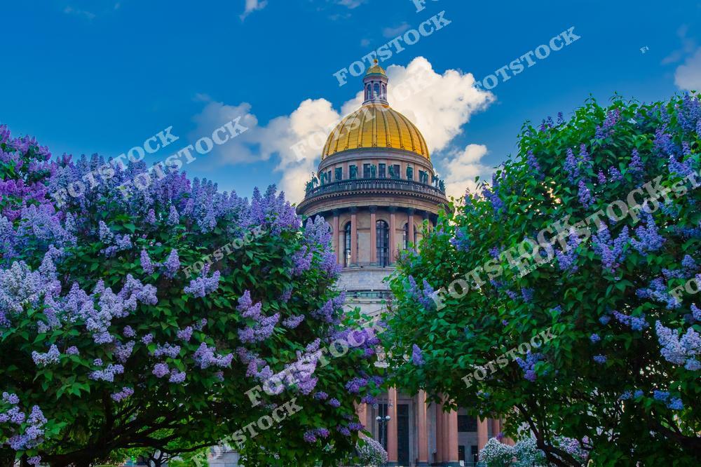 Фотография панорамного вида Санкт-Петербург, Россия, снятая с высоты. На изображении показан Исаакиевский собор и Исаакиевская площадь, а также прилегающие улицы исторического центра Петербурга. Этот фотоснимок передаёт масштаб городской застройки, архитектурную гармонию и характерный облик одного из главных символов города. Фото отражает атмосферу Санкт-Петербурга с высоты, демонстрируя планировку улиц и архитектуру городов России. Иллюстрация может использоваться как изображение, картинка или слайд, посвящённые панорамным видам и архитектуре российских городов.